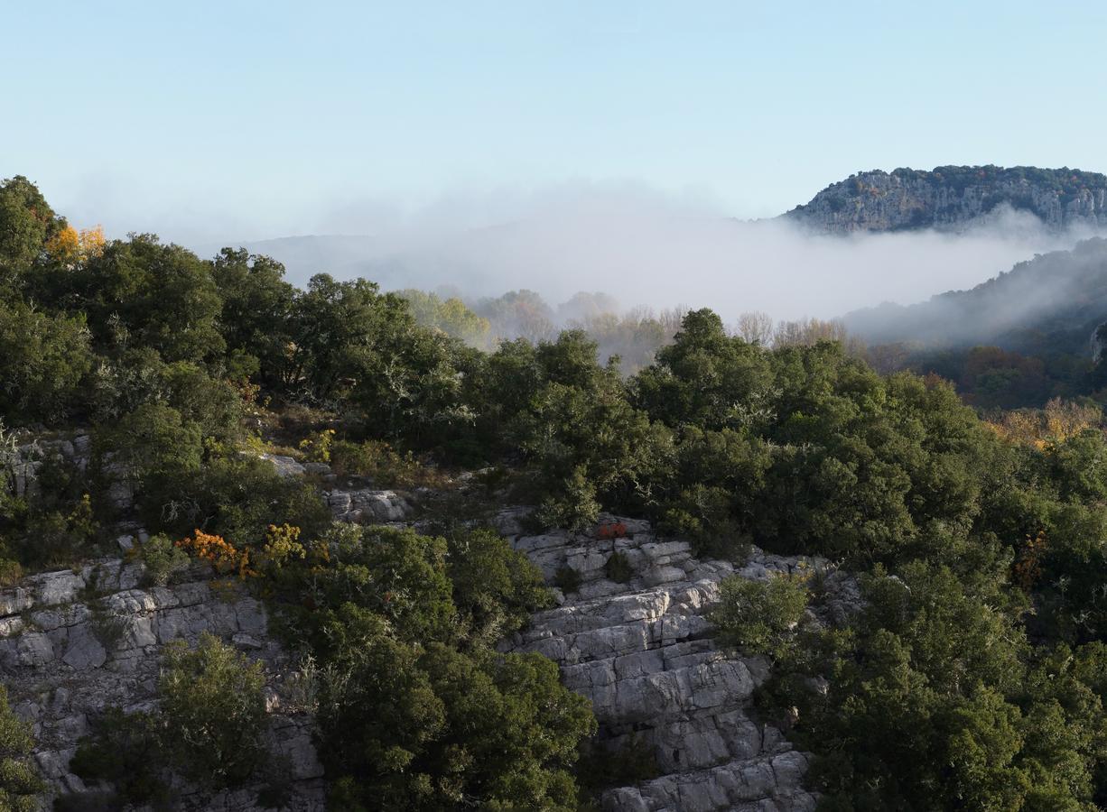 Les Hauts D'Issensac Causse-de-la-Selle 외부 사진