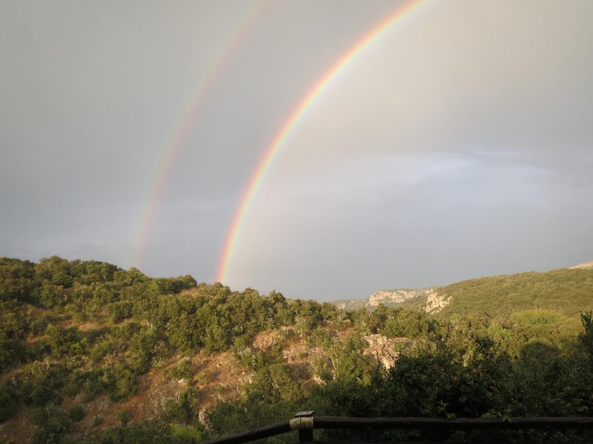 Les Hauts D'Issensac Causse-de-la-Selle 외부 사진