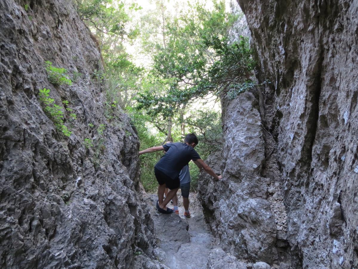 Les Hauts D'Issensac Causse-de-la-Selle 외부 사진