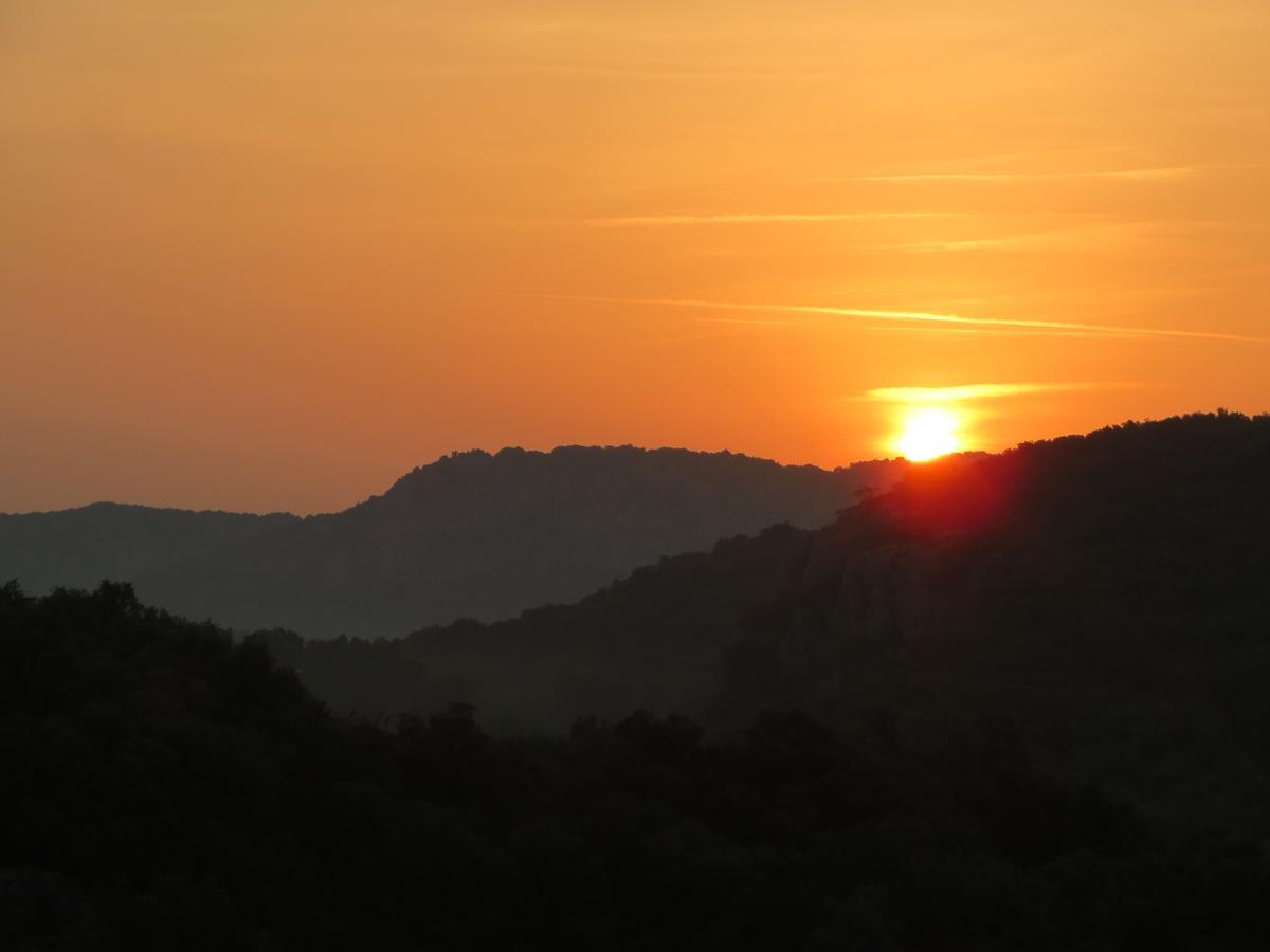 Les Hauts D'Issensac Causse-de-la-Selle 외부 사진