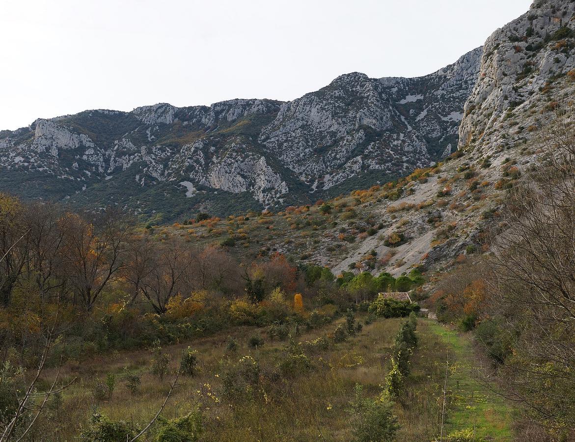 Les Hauts D'Issensac Causse-de-la-Selle 외부 사진